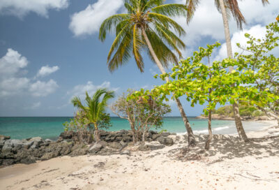 Plage Anse Mabouya_Sainte-Luce