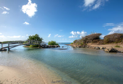 La Savane des Pétrifications_Sainte-Anne