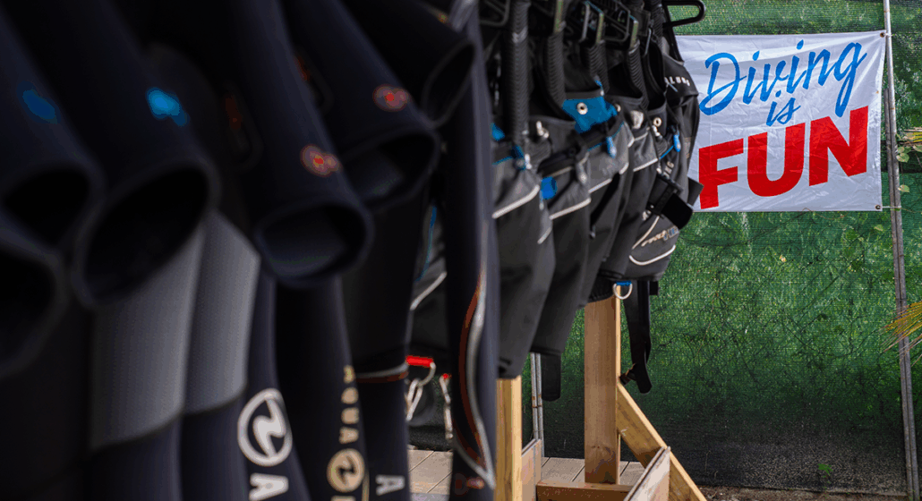 Tout l'équipement est fourni.