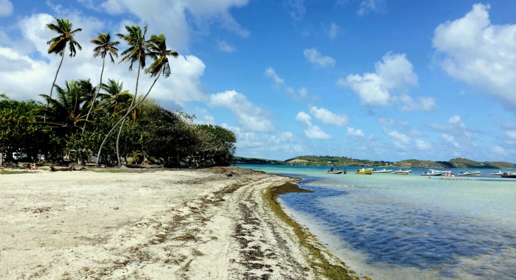 Plage de la Pointe Faula_Le Vauclin