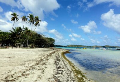 Plage de la Pointe Faula_Le Vauclin