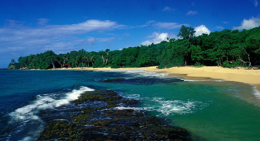 Plage de l'Anse Désert_Sainte-Luce