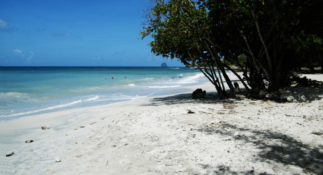 Plage de l'Anse Fond Banane_Sainte-Luce