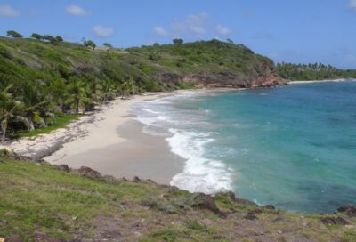 Anse au Bois & Anse Esprit_Sainte-Anne