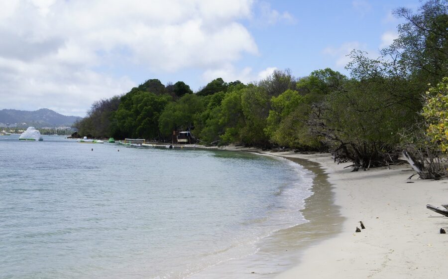Anse Caritan_Sainte-Anne