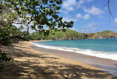 Anse Meunier (Anse Moustique)_Sainte-Anne