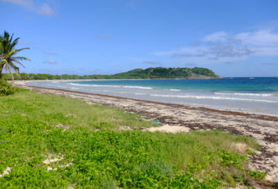 Anse Trabaud_Sainte-Anne