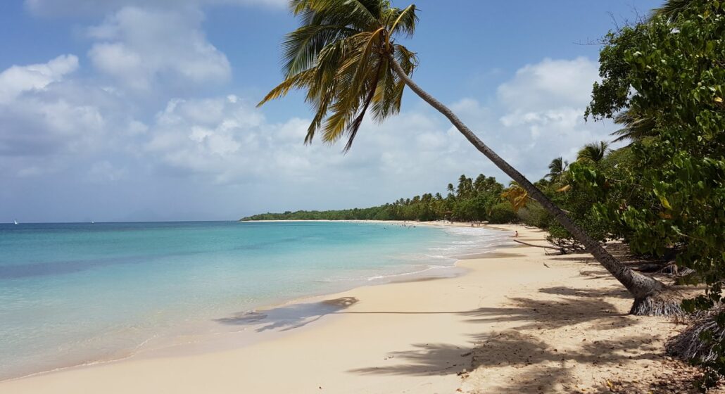 Grande Anses des Salines_Sainte-Anne