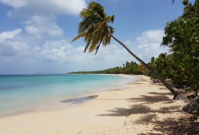 Grande Anses des Salines_Sainte-Anne