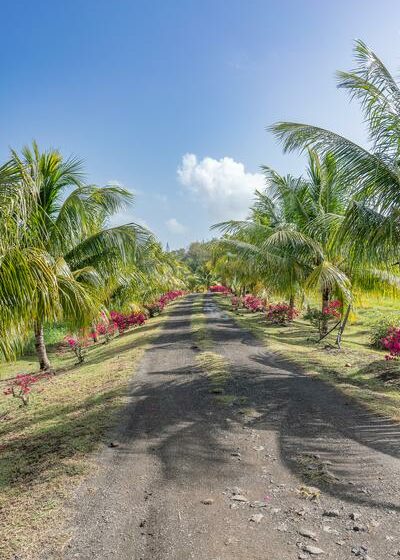 Le Domaine de Frégate_Le François